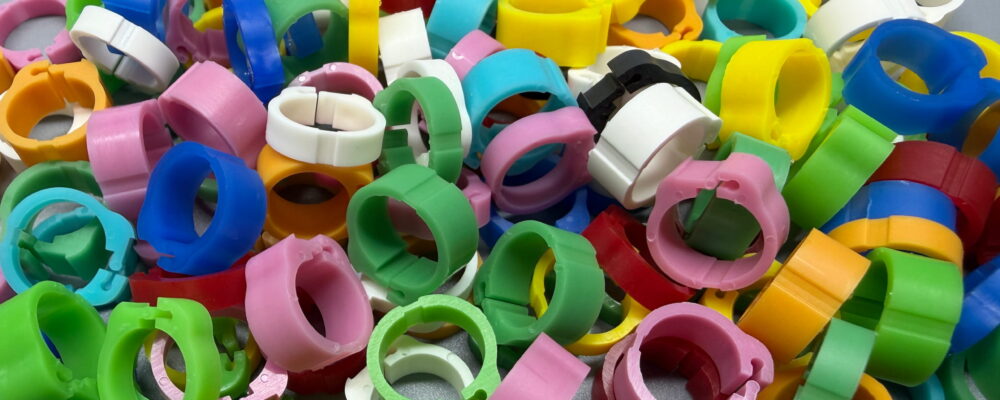 鳩環屋｜Pigeon Rings