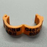 オレンジの写真